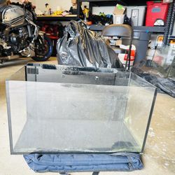 20 gallon fish tank 