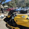 Dream Collection 