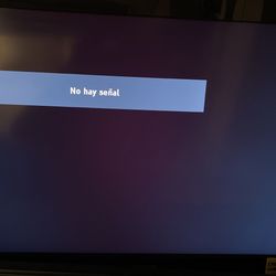 30” Panasonic Flat Screen Plasma