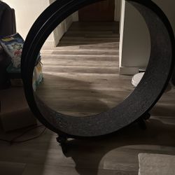Cat Wheel