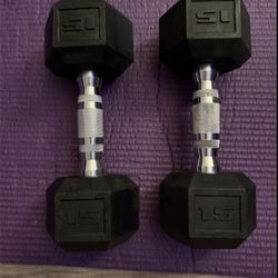 15 Lbs Dumbbells 