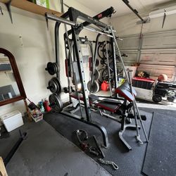 Rack w/ Weights Plates & Dumbbells & Pull-up / Dip Station