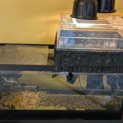 Aquatic Turtle Tank