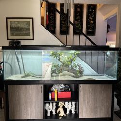 100 Gallon Fish Tank Plus Filter 
