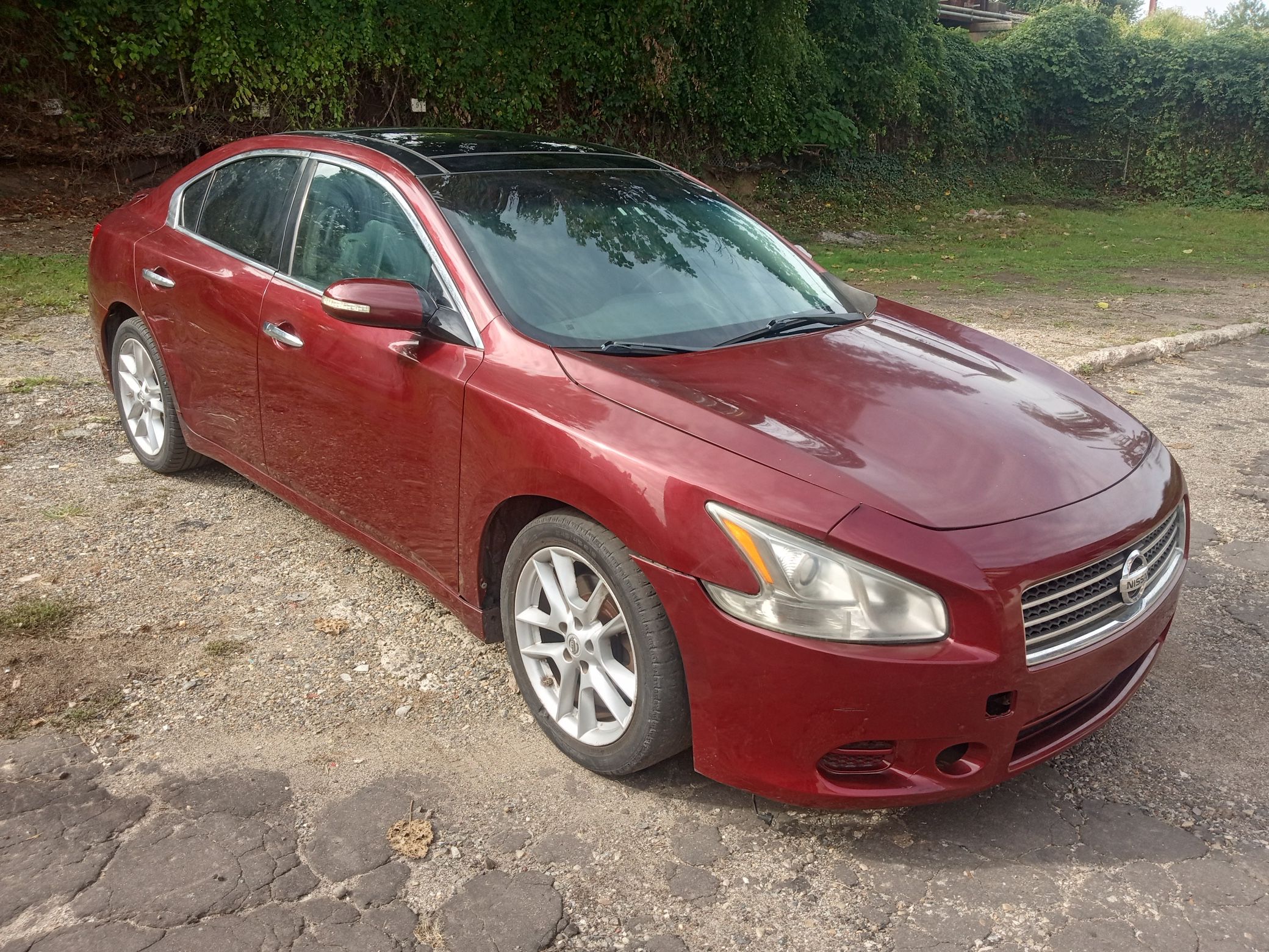 2011 Nissan Maxima