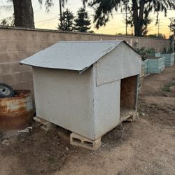 Dog House
