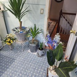 Indoor Plants And Silk Flower Vases All For Only $65