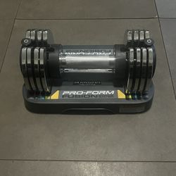 Pro-form Fusion Weights 