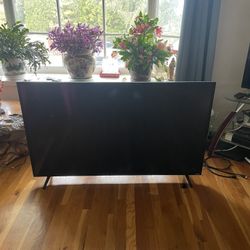Vizio 60 Inch