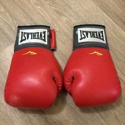 Everest Boxing  Gloves