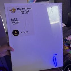 Blank Canvas 6 Pack 