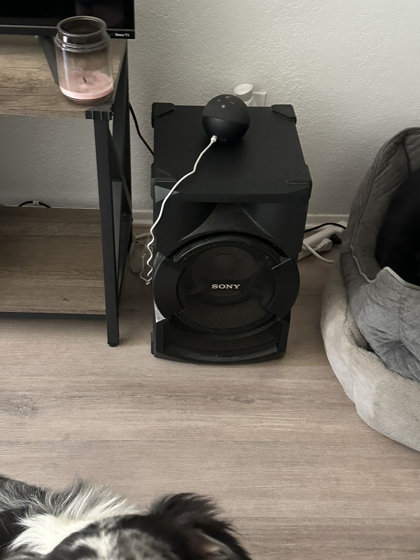 Sony Speakers