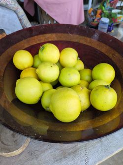Lima chichona de tinguindin mich