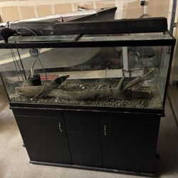 50 Gallon Fish Tank 