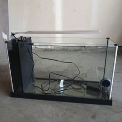 5 Gal Fluval Aquarium 