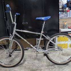 Schwinn Team 24 1984