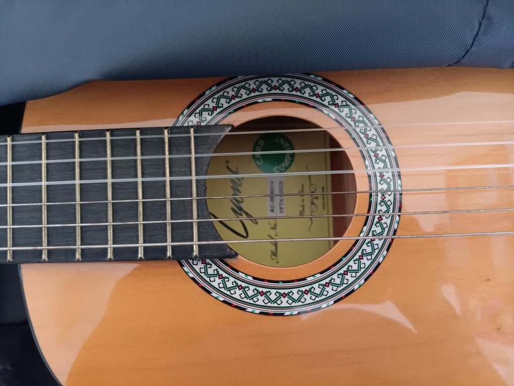 Guitar