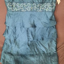 Brand New Dressbarn Dress