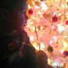 Neto