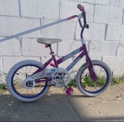 16” Bike