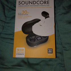 Soundcore Ear Buds 30ft