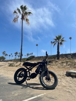 Raev fat tire ebike