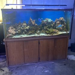 180 Gal Glass Aquarium