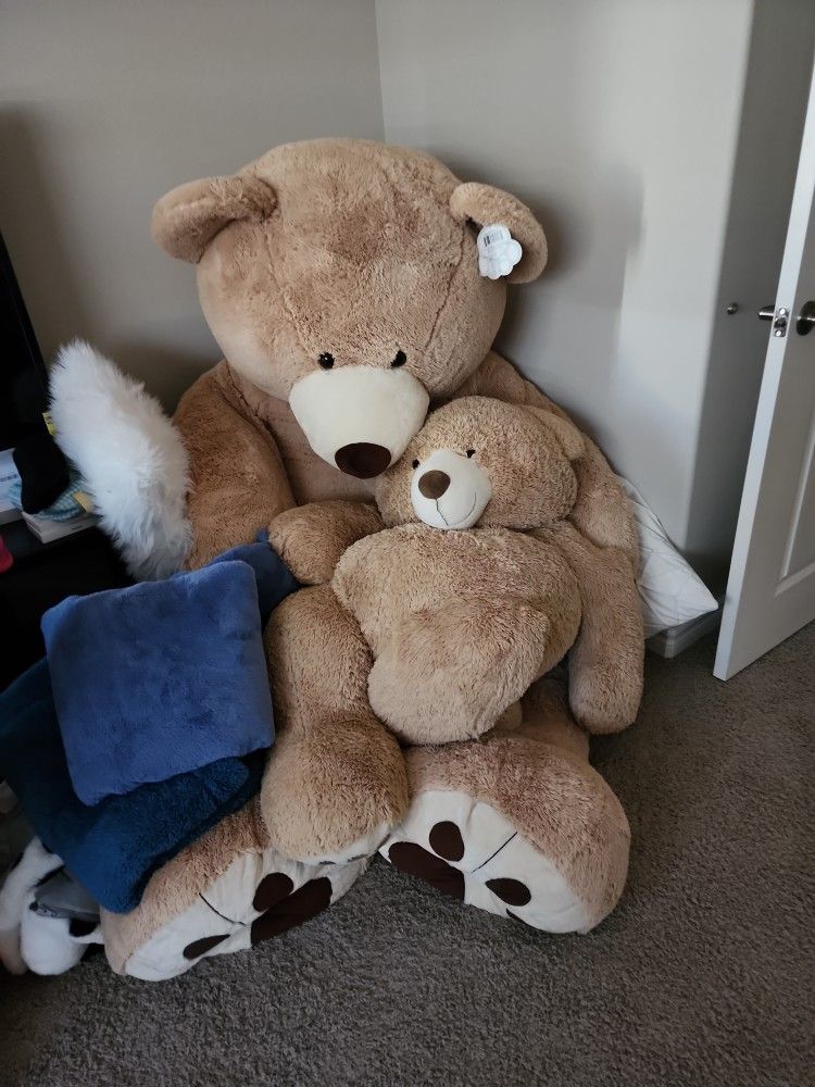 Costco Giant Bear And Medium Bear