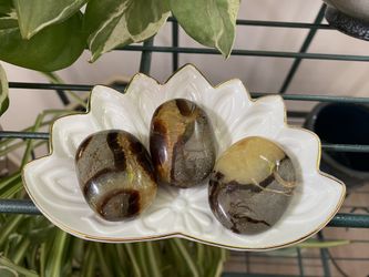 Septarian Palm Stones