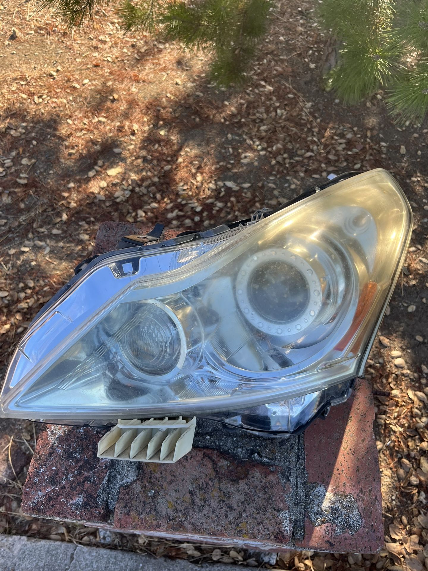 Infiniti G35 & G37 Headlights & Parts Car