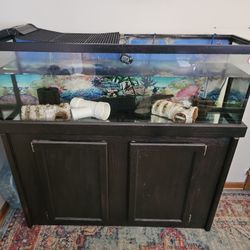 55gal Aquarium w/ Stand And Many Extras