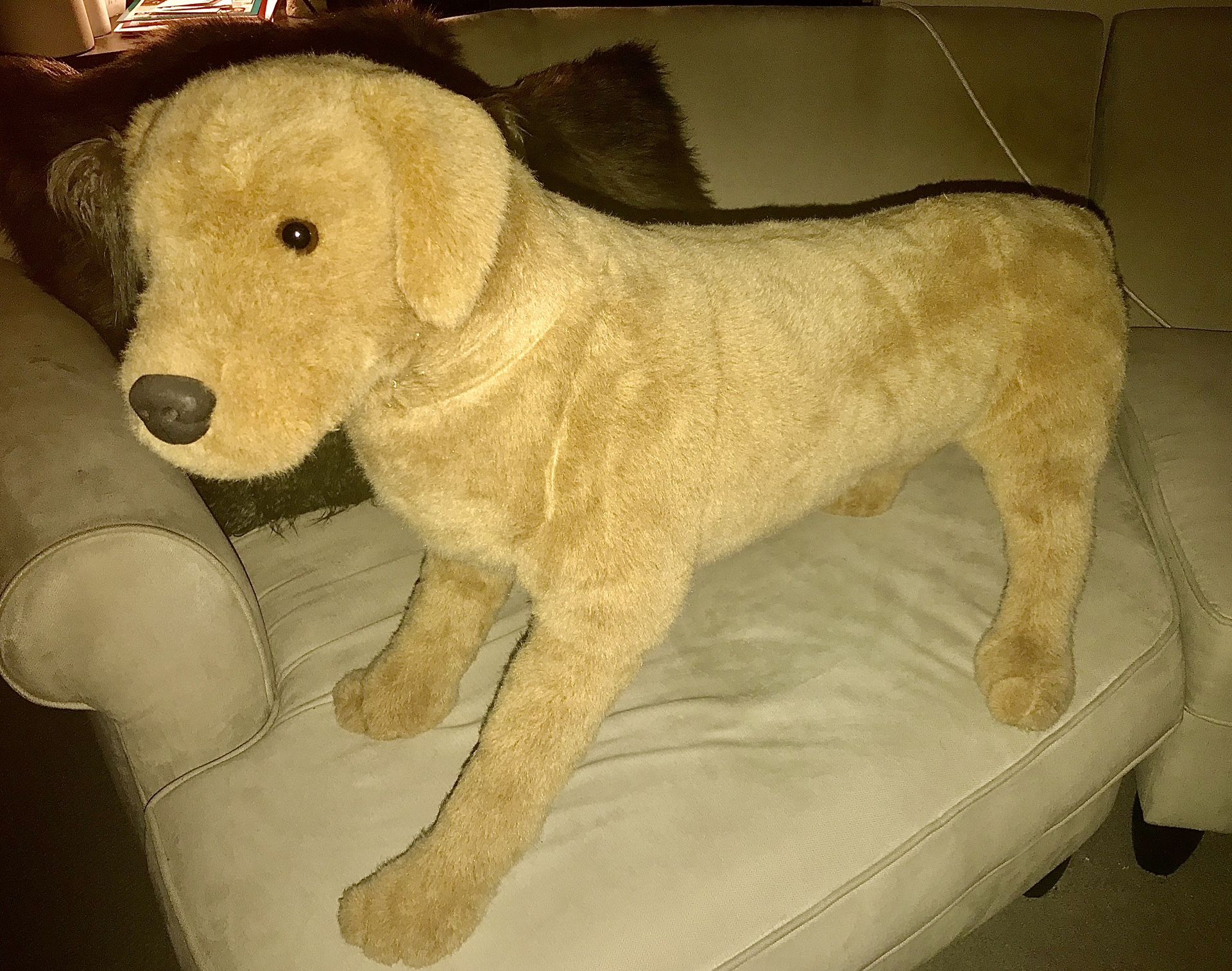 Very Large Stuffed Dog