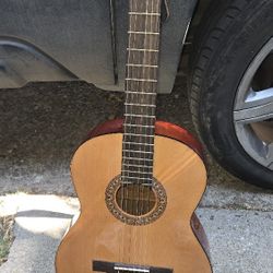 Acoustic Guitar