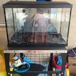 20 Gallon Aquarium With Filter And Heater 