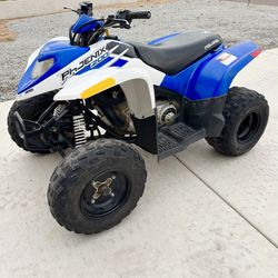 2014 Polaris Phoenix 200 