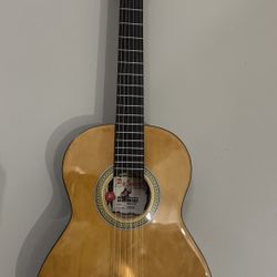 Palmer Classic Guitar