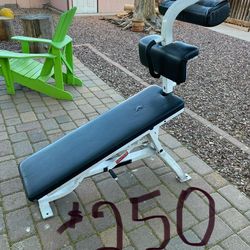 Cybex Multifunctional Incline / Decline Bent Legs Abdominal Bench