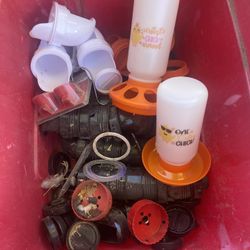 Feeders And Parts For Chickens