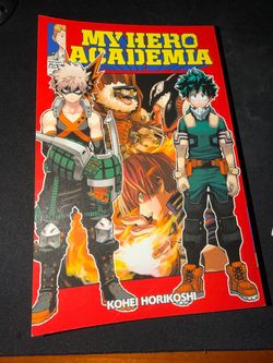 My hero academia book 13