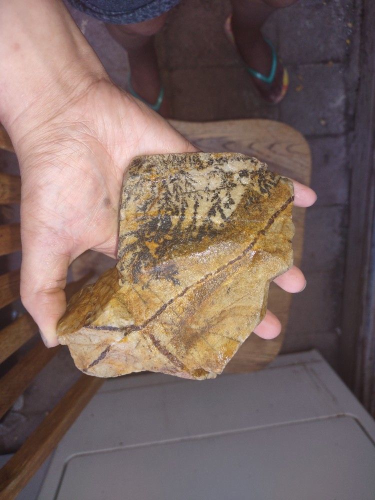 Dendrites On Limestone