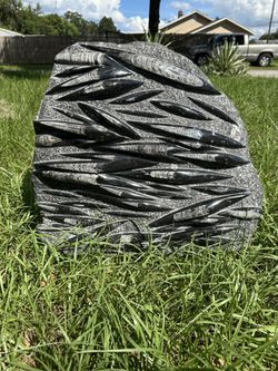 Orthoceras Fossil Plate