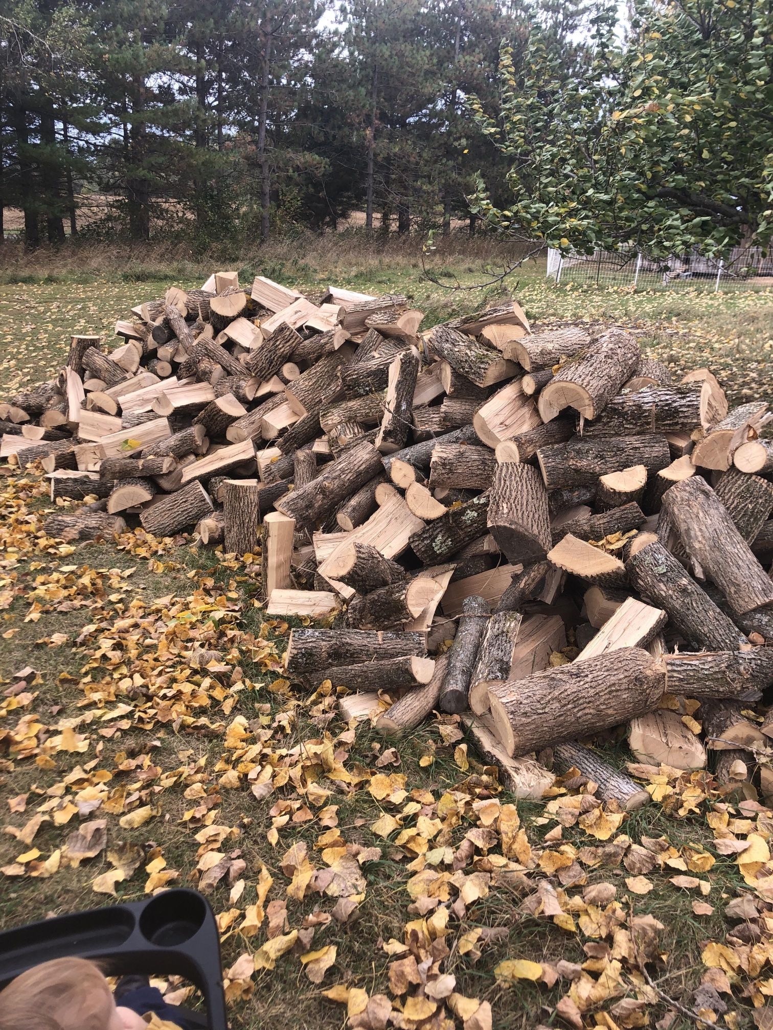 S and E Seasoned Firewood