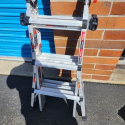 Little Giant Multi-Position Ladder.