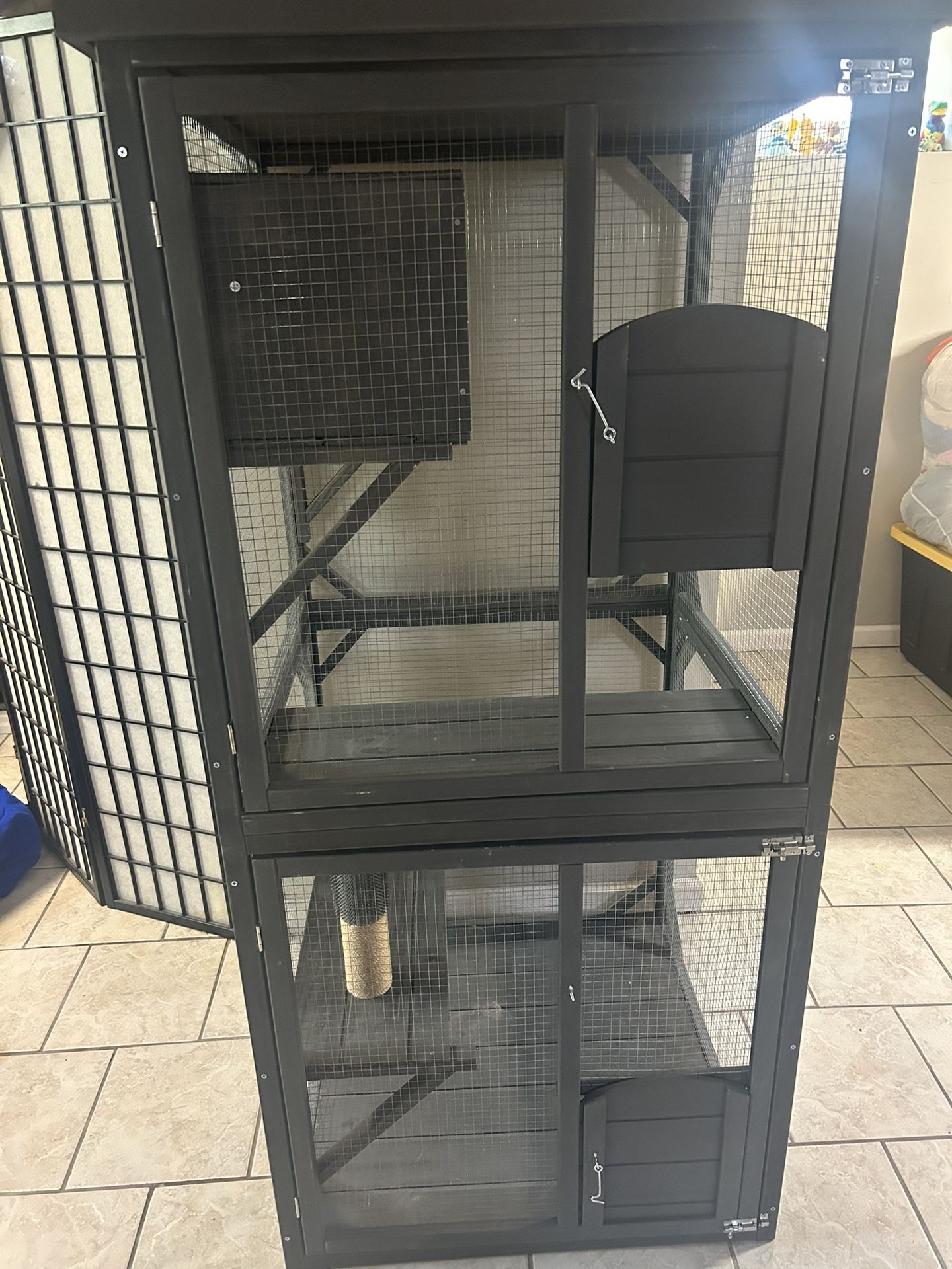 Catio