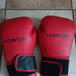 Century Boxing Glove