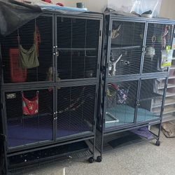 Sugar Glider +accesories 