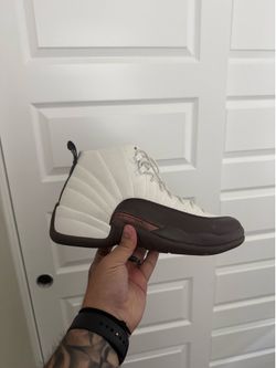 Jordan 12 Solefly
