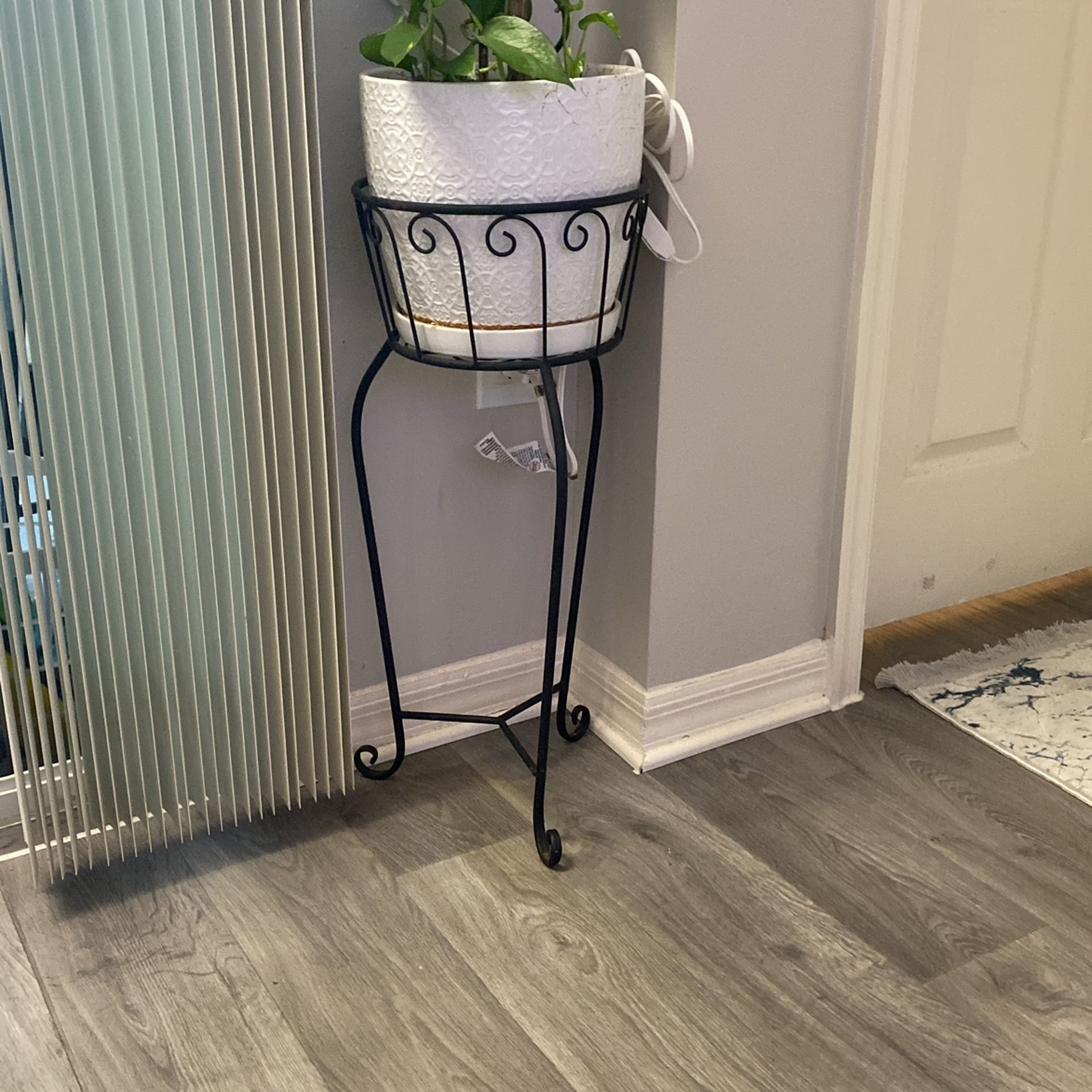 Plant With Pot And Stand Growing