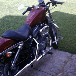 07 Harley Davidson 883 Sporty