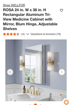 Brand New- Wellfor- Rosa Aluminum Mirror Medicine Cabinet